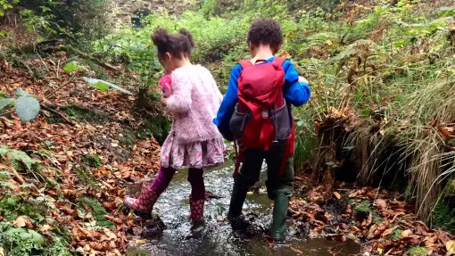 children playing in a stream
