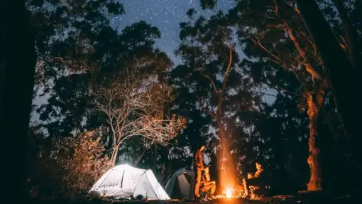 starry-sky people around a fire under a starry night sky